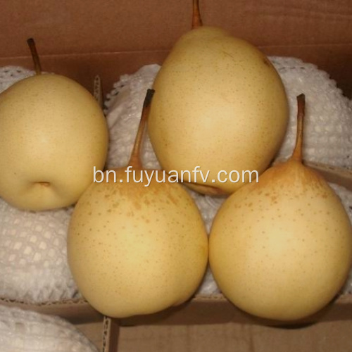 ভাল স্বাদ এবং Ya PEAR এর ভাল মানের